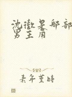 沈彻是哪部小说男主角