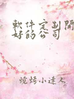 软件定制开发较好的公司