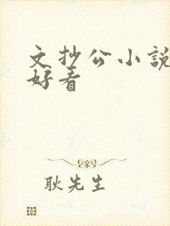 文抄公小说哪本好看