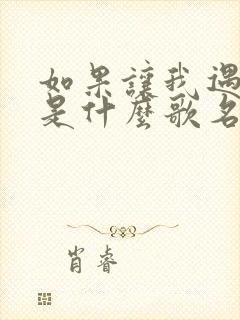 如果让我遇见你是什么歌名