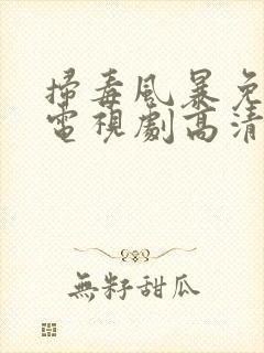 扫毒风暴免费版电视剧高清在线观看