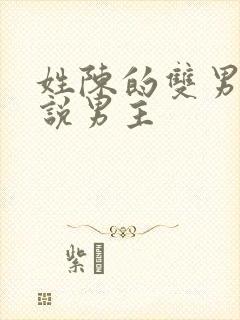 姓陈的双男主小说男主