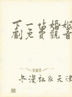 下一站婚姻电视剧免费观看全集完整版