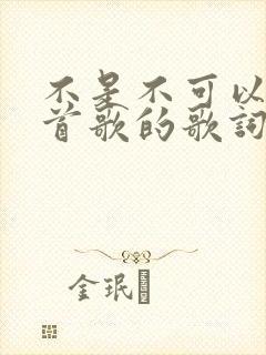 不是不可以是哪首歌的歌词