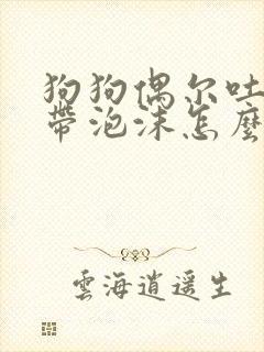 狗狗偶尔吐黄水带泡沫怎么回事