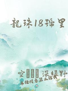 龙珠18号里番