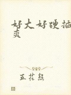 好大好硬插得好爽