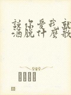 说你爱我就这么洒脱什么歌