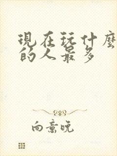 现在玩什么网游的人最多