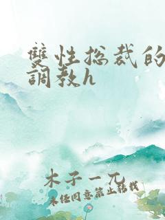 双性总裁的屈辱调教h