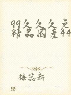 99久久久免费精品国产44