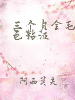 三个月金毛吐白色粘液