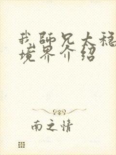 我师兄太稳健了境界介绍