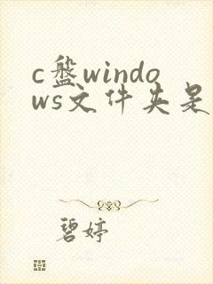 c盘windows文件夹是什么