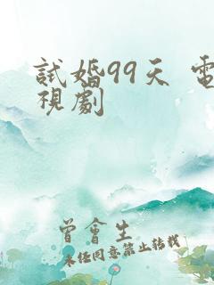 试婚99天 电视剧