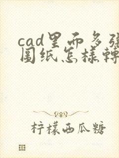 cad里面多张图纸怎样转换成pdf