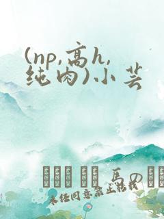 (np,高h,纯肉)小芸