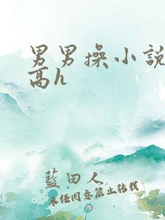 男男操小说双性高h