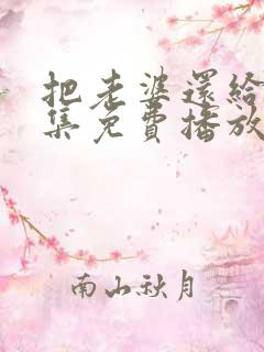 把老婆还给我全集免费播放电视剧