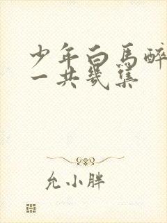 少年白马醉春风一共几集