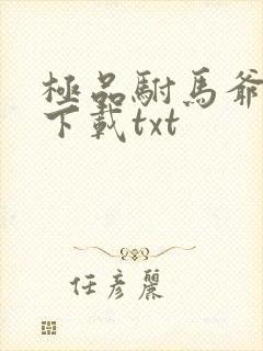 极品驸马爷免费下载txt