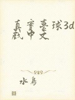 真实台球3d游戏中文