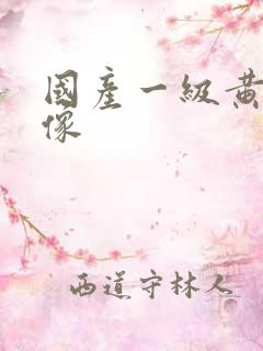 国产一级黄色录像