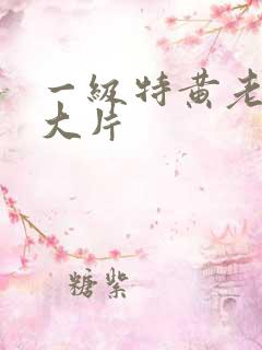 一级特黄老太婆大片