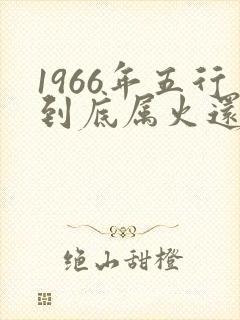 1966年五行到底属火还是水