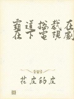 霸道总裁在上我在下电视剧免费