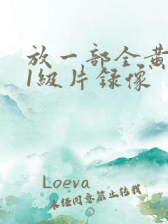 放一部全黄色的1级片录像