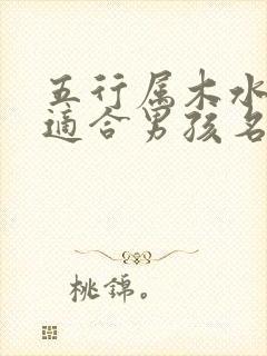 五行属木水的字适合男孩名