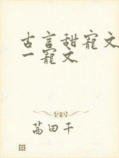 古言甜宠文一对一宠文