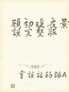 顾初暖夜景寒小说完整版