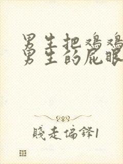 男生把鸡鸡插进男生的屁眼里