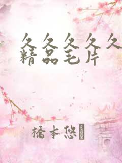 久久久久久国产精品毛片