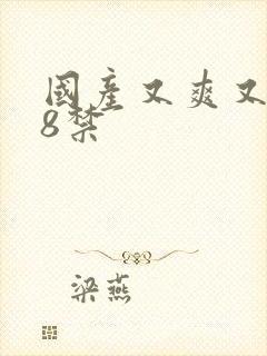 国产又爽又黄18禁