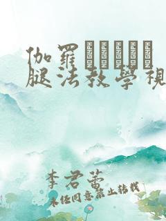 伽罗あちゃんが腿法教学视频