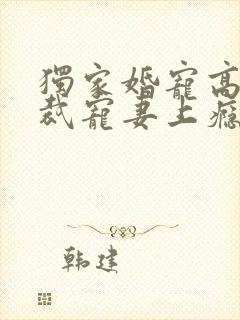 独家婚宠高冷总裁宠妻上瘾免费阅读全文