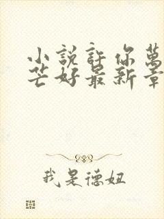 小说许你万丈光芒好最新章节在线