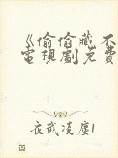 《偷偷藏不住》电视剧免费看