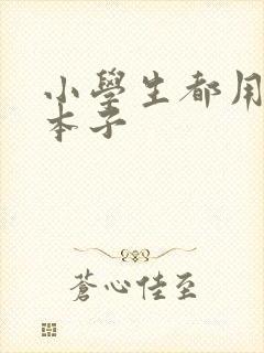 小学生都用什么本子