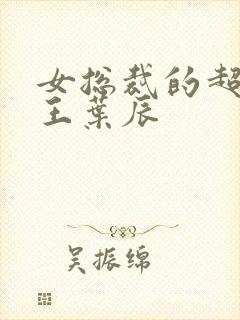 女总裁的超级兵王叶辰