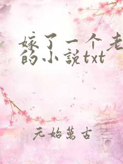 嫁了一个老皇上的小说txt