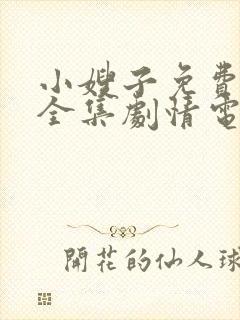 小嫂子免费观看全集剧情电视剧