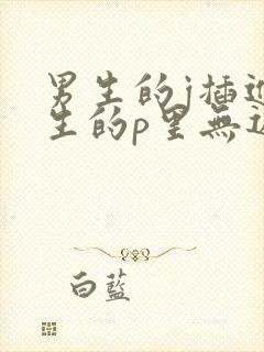 男生的j插进女生的p里无遮挡