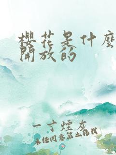 樱花是什么季节开放的