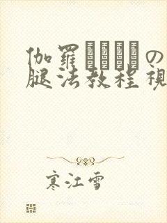 伽罗ちゃんへの腿法教程视频