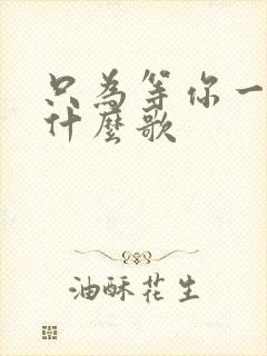 只为等你一人是什么歌