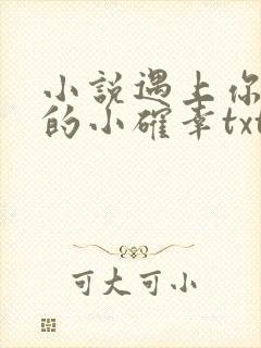 小说遇上你是我的小确幸txt下载